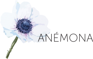 Anemona Flowers